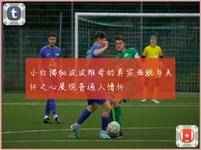 小白揭秘波波维奇的真实面貌与关怀之心展现普通人情怀