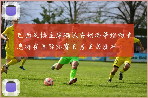 巴西足协主席确认安切洛蒂续约消息将在国际比赛日后正式发布