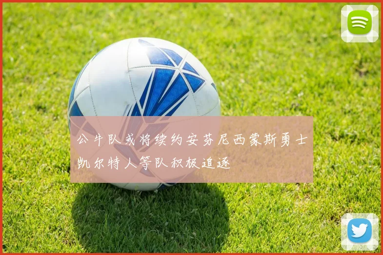 公牛队或将续约安芬尼西蒙斯勇士凯尔特人等队积极追逐